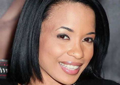 karrine steffans net worth